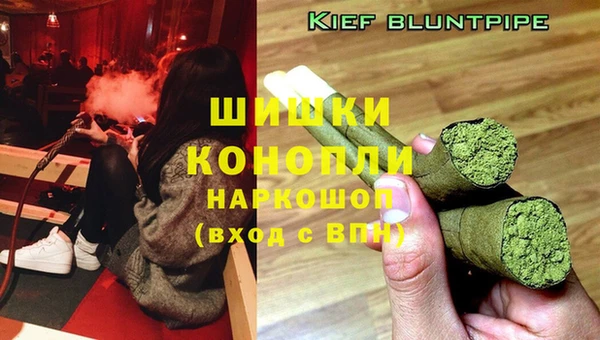 ГАЛЛЮЦИНОГЕННЫЕ ГРИБЫ Верхнеуральск