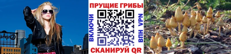 Псилоцибиновые грибы GOLDEN TEACHER Энем