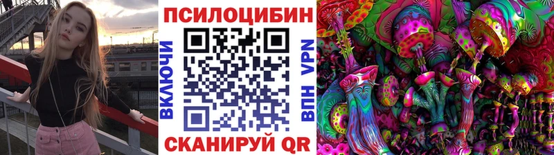 Галлюциногенные грибы Psilocybine cubensis  блэк спрут как зайти  Энем 